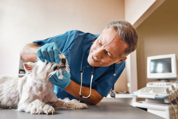 Best Emergency Dental Surgery in Fitzgerald, GA